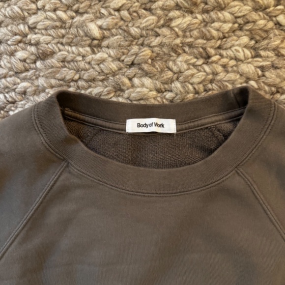 Body of Work ASTER RAGLAN SWEATSHIRT - Clay - Men's Medium - Picture 2 of 3